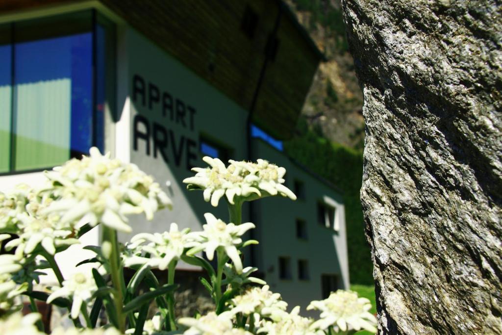 Apart Arve Appartement Sankt Leonhard im Pitztal Buitenkant foto